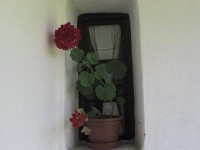 /album/hajdudorog-tajhaz-/a1441412-971686662847528-1710671871300219321-n-jpg/
