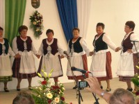 /album/kepgaleria-oszido-kulturalis-egyesulet-tanckar-/dscn8488-jpg/