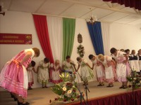 /album/kepgaleria-oszido-kulturalis-egyesulet-tanckar-/dscn8554-jpg/