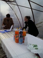 /album/kepgaleria-start-munkaprogram-novenytermesztoi-sikeresen-vizsgaztak-noventermesztes-tartositasbol-/a10450817-967931653223029-5086284838764068286-n-jpg/