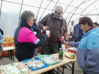 /album/kepgaleria-start-munkaprogram-novenytermesztoi-sikeresen-vizsgaztak-noventermesztes-tartositasbol-/a10488047-967944569888404-4449477797919706643-n-jpg/