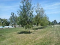 /album/stranfurdo-camping-hajdudorog-/a10426745-886652468017615-6739426595646101353-n-jpg/