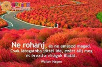 /album/kepgaleria-szep-kepek-idezetek-/a10570534-704365672989955-4897490699881819277-n-jpg/