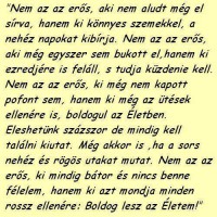 /album/kepgaleria-szep-kepek-idezetek-/a10593133-704366316323224-4728650208650057660-n-jpg/