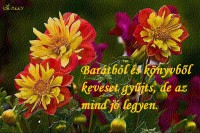 /album/kepgaleria-szep-kepek-idezetek-/baratbol-konvbol-jolegyen-jpg/